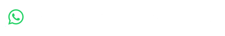 WhatsApp Business Solution Provider
